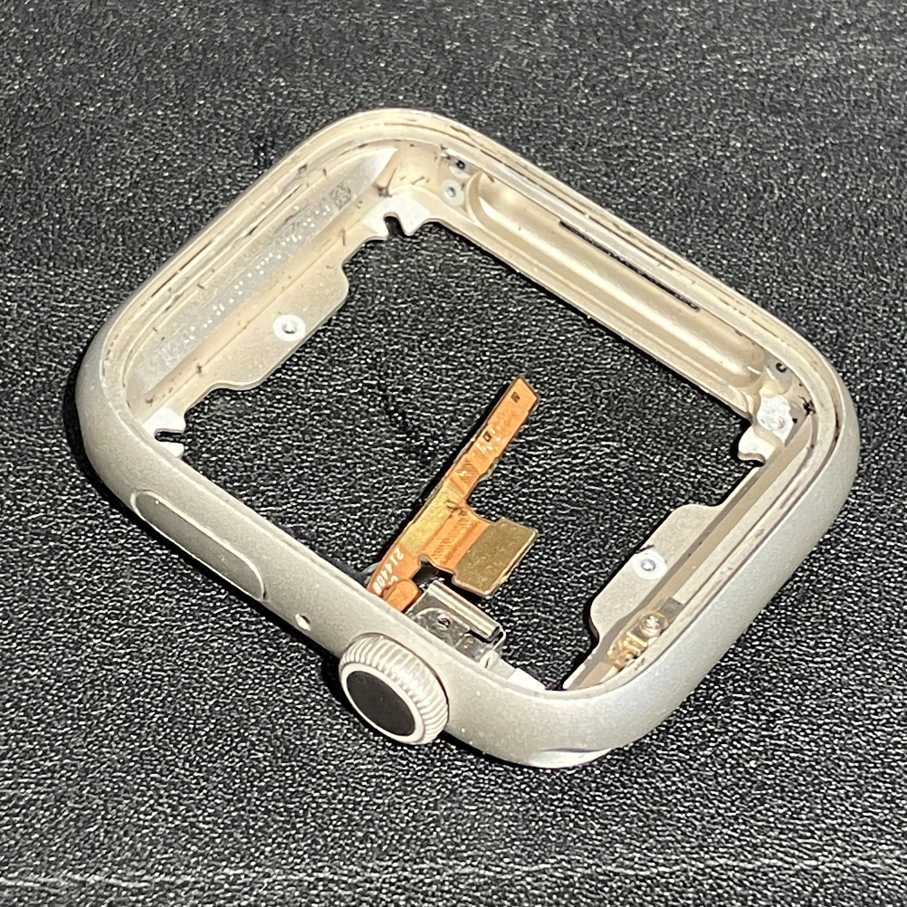 AppleWatch